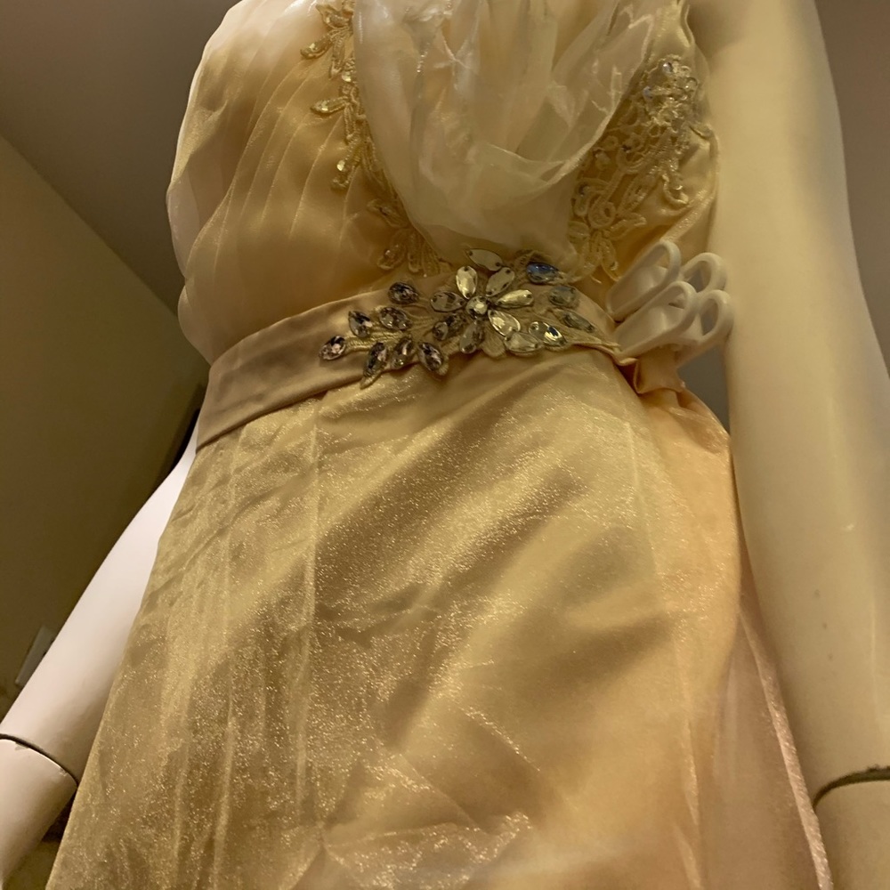 Formal Dress - Picture 8 of 8